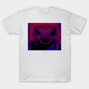 Bull cow Nosering colorful T-Shirt